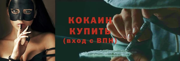 прущие грибы Вязники